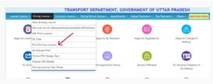 Andhra Pradesh Driving Licence download