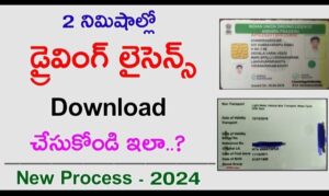 Driving Licence Download - Driving Licence Print - Driving Licence PDF Download 2024